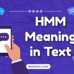 HMM Meaning in Text