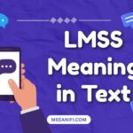 LMSS Meaning in Text