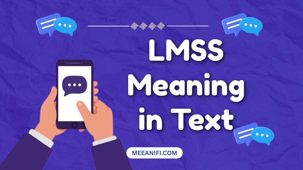 LMSS Meaning in Text