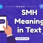 SMH Meaning in Text
