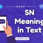 SN Meaning in Text