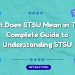STSU Mean in Text