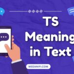 TS Meaning in Text