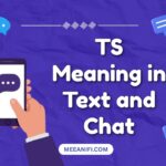 TS Meaning in Text and Chat