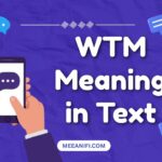 WTM Meaning in Text