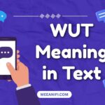 WUT Meaning in Text