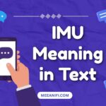IMU Meaning in Text