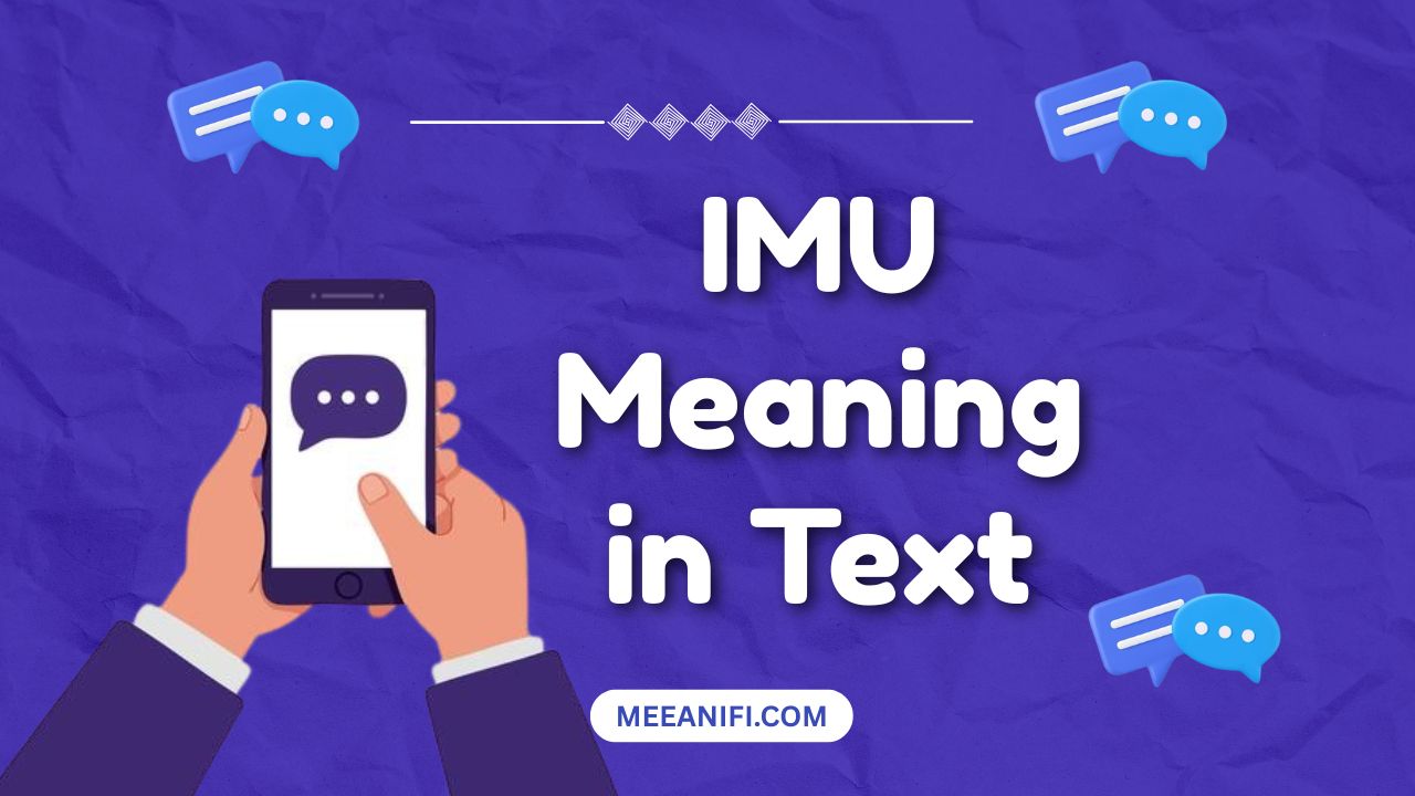 IMU Meaning in Text