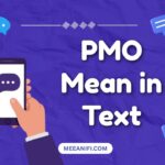 PMO Mean in Text
