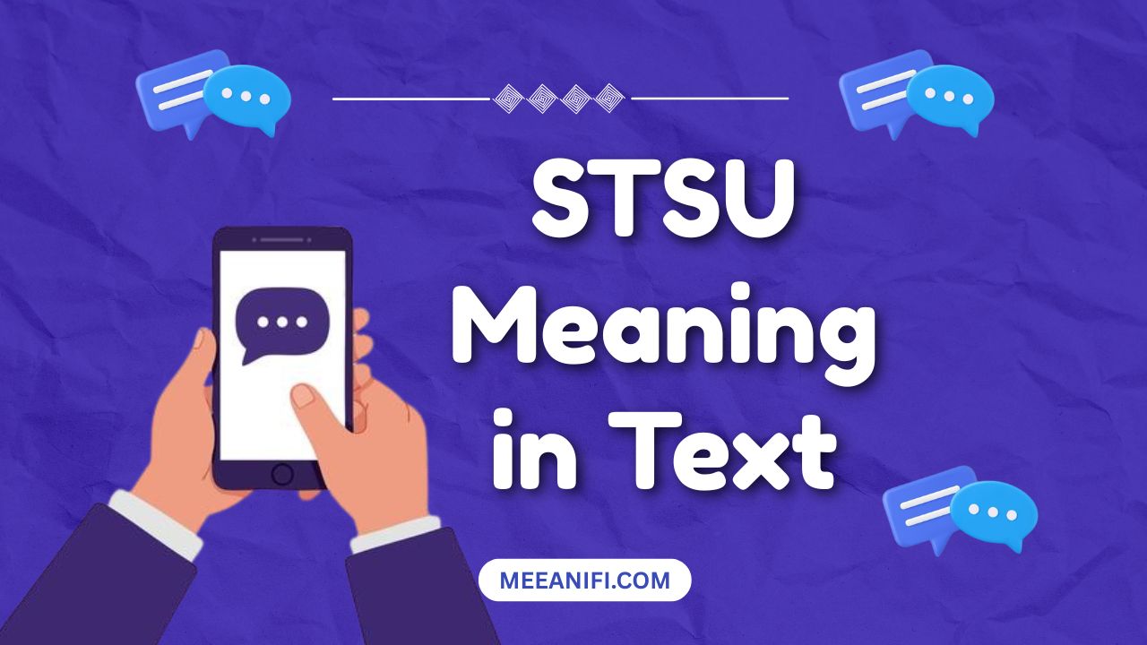 STSU Meaning in Text
