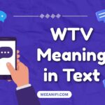 WTV Meaning in Text