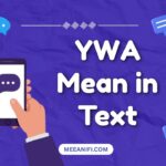 YWA Mean in Text