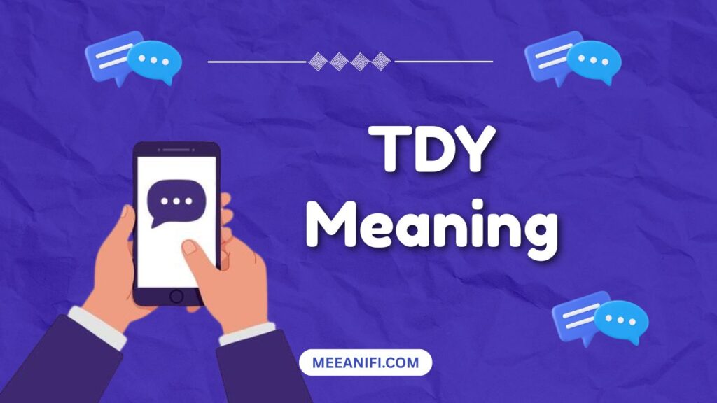 tdy meaning