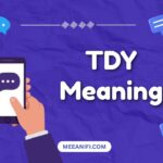 tdy meaning