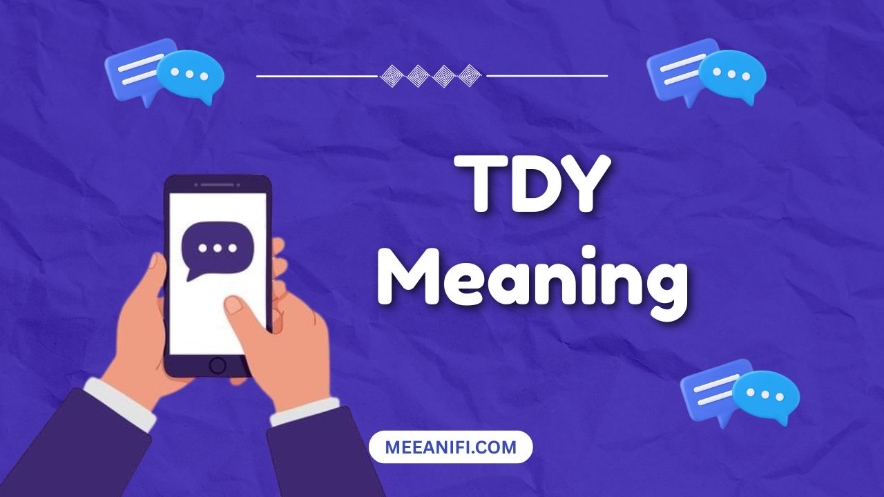 tdy meaning
