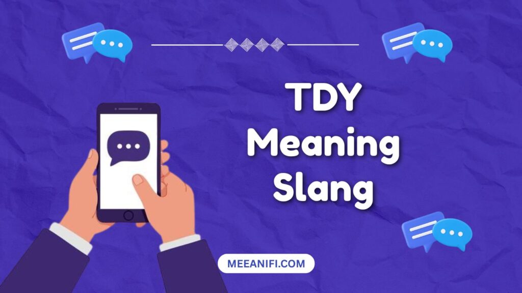 tdy meaning