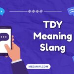 tdy meaning