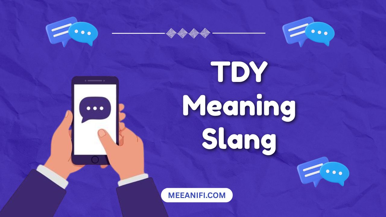 tdy meaning