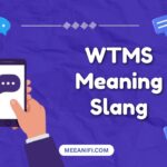 wtms meaning in text