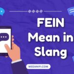 FEIN Mean in Slang