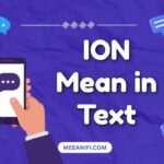 ION Mean in Text